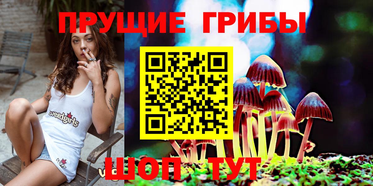 Галлюциногенные грибы мухоморы Мирный
