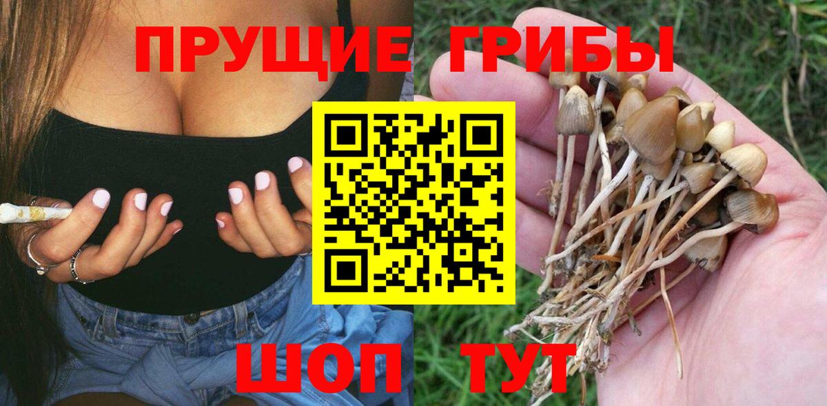 Псилоцибиновые грибы ЛСД  Псилоцибиновые грибы MAGIC MUSHROOMS  Вход с VPN  Мирный 